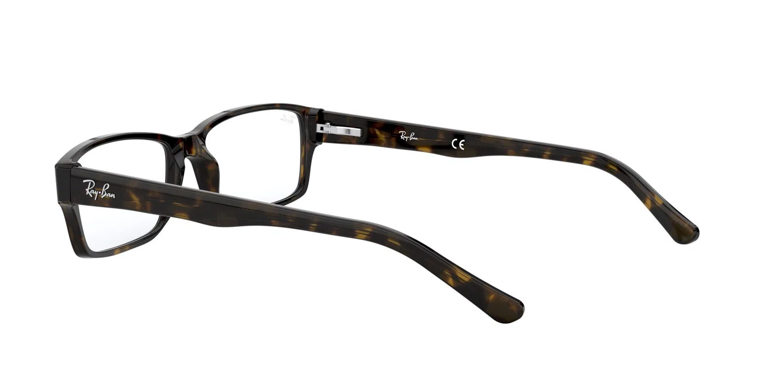 Ray-Ban 5169 Eyeglasses - view 76